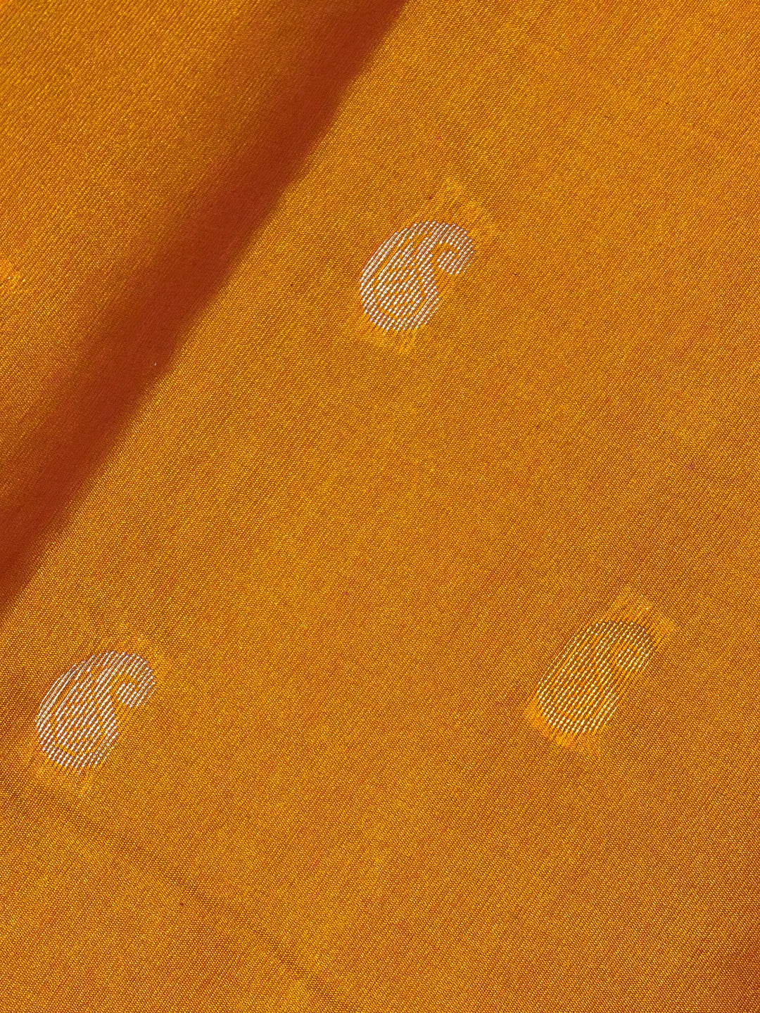 DHN-214 close-up