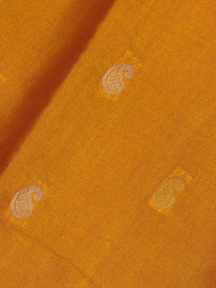 DHN-214 close-up